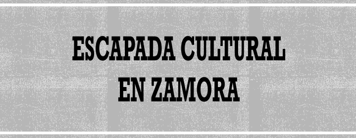 Zamora experiencias